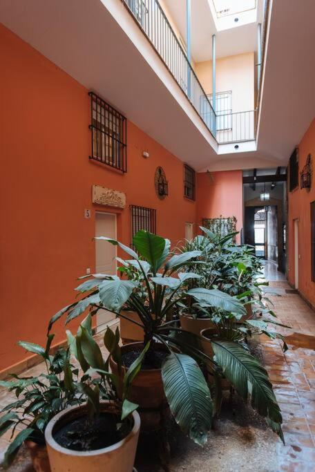 Selecta Elegante Y Centrico Apartamento Севиля Екстериор снимка
